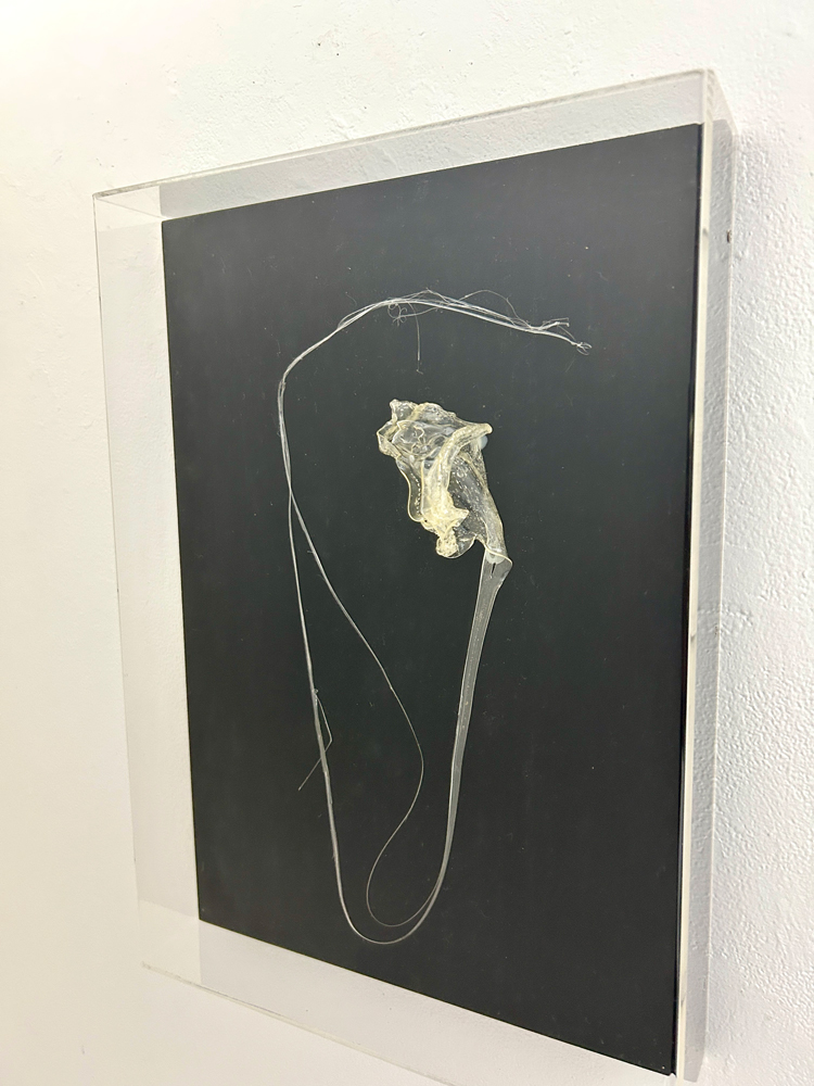 造形・ミクストメディア展